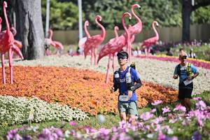 BIB: 
                            <button type="button" onclick="openModal(27793332)" class="btn btn-primary btn-sm float-right btn-popup" data-toggle="modal" data-target=".modal-high-quality">
                        <i class="fas fa-shopping-cart"></i> Add to Cart
                    </button>
                                            <button type="button" onclick="isThisMe(27793332, true)" class="btn btn-success btn-sm float-right btn-popup btn-isme hidden" data-toggle="tooltip" data-placement="bottom" title="นี่คือรูปของคุณใช่ไหม คลิกที่นี่เพื่อเอาเข้าอัลบั้ม">
                        <i class="fas fa-plus"></i> Add to album
                    </button>
                    <button type="button" onclick="isThisMe(27793332, false)" class="btn btn-warning btn-sm float-right btn-popup btn-isnotme hidden">
                        <i class="fas fa-ban"></i> Remove from album
                    </button>